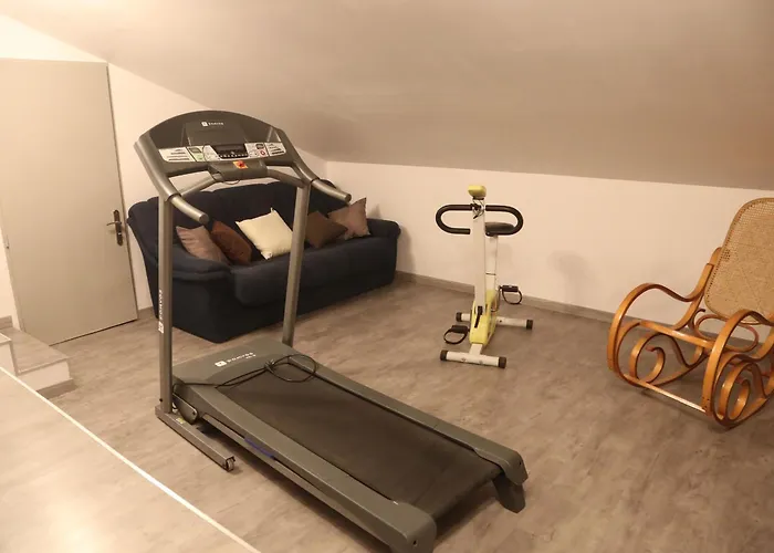 Prázdninový dům De Charme Avec Sauna, Salle De Jeux Et Connexion Fibre En Lorraine - Fr-1-584-166 *